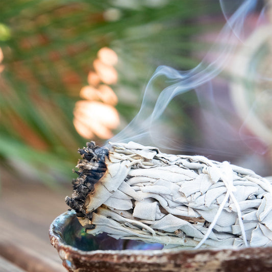 White Sage 10cm Smudge Stick