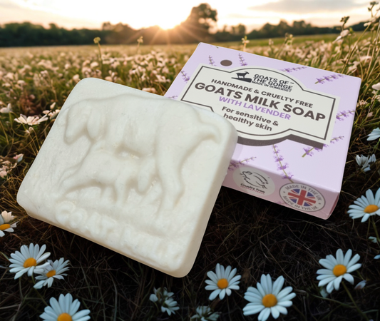 Goats milk soap bar – (Lavender) 100g